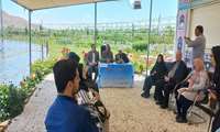 نشست خبری با اصحاب رسانه در محل طرح توسعه باغات انگور به روش داربستی برگزارشد.