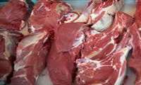  توزیع گوشت گرم گوساله با قیمت مصوب