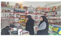 سومین مانور سراسری پایش و کنترل واحدهای عرضه آفت‌کش‌های کشاورزی در استان مرکزی برگزار شد 
