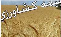 بیمه اجباری زراعت و تامین نهاده‌ها در استان مرکزی پیگیری می‌شود