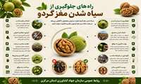 راه های جلوگیری از سیاه شدن مغز گردو