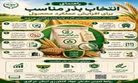  راهنمای انتخاب بذر مناسب برای افزایش عملکرد محصول