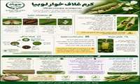  کرم غلاف خوار لوبیا
