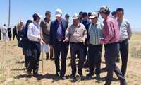  حضور ریاست سازمان جهادکشاورزی استان مرکزی  مراسم روز مزرعه روستای مجدآباد شهرستان فراهان
