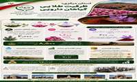  استان مرکزی با دارا بودن ظرفیت طلایی در گیاهان دارویی