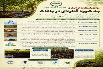 photo28974476886