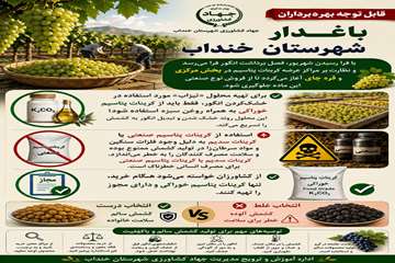 photo28975318868