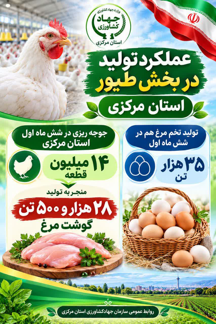 عملکرد تولید در بخش طیور استان مرکزی در شش ماهه اول سال ۱۴۰۵