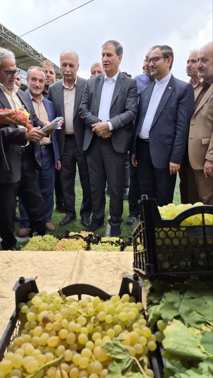   افتتاح نمایشگاه محصولات کشاورزی با حضور معاون وزیر جهاد کشاورزی و رئیس سازمان جهاد کشاورزی استان مرکزی